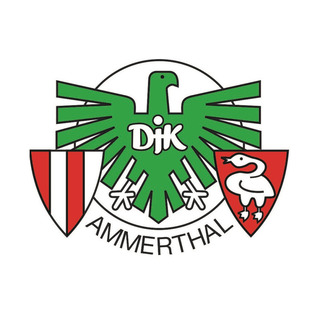 DJK Ammerthal e.V.
