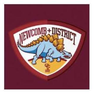 Newcomb Cricket Club