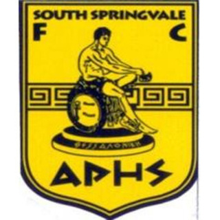 South Springvale Soccer