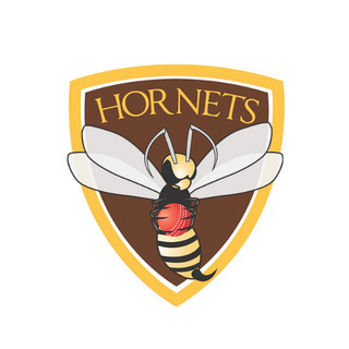 Ipswich Logan Cricket Club