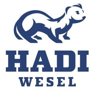 Lauffreunde Hadi Wesel e.V.