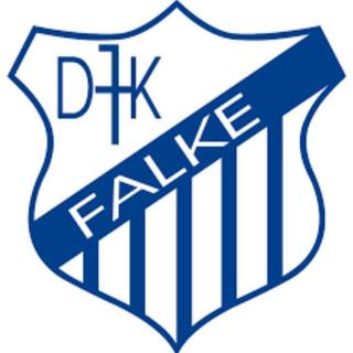 DJK Falke Gelsenkirchen 1919 e.V.