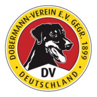 Dobermann-Verein e.V. Landesgruppe Thüringen (15)