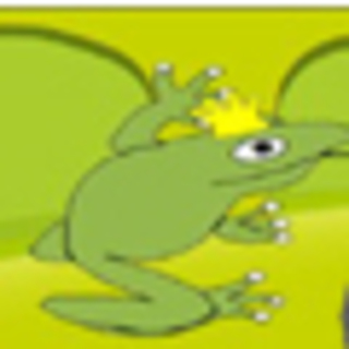 Tierfreunde Rheinland e.V.