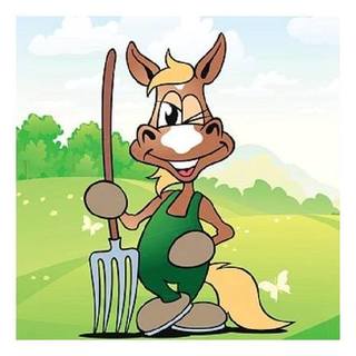 Kinderreitfest Grimma e.V.