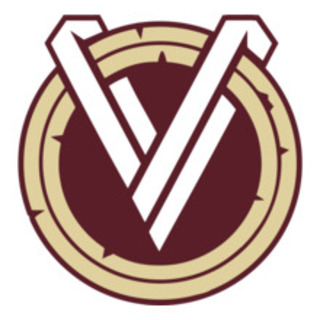 ASA Duisburg Vikings e.V.