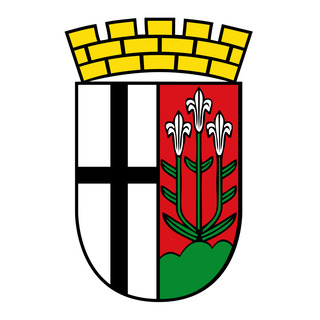 Athletik-Sportvereinigung 1908 Fulda e.V.