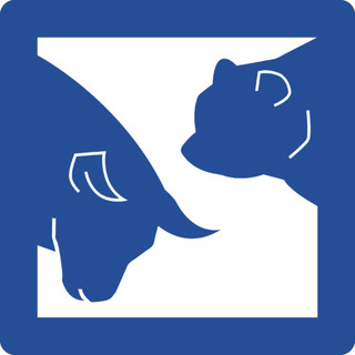 Interessengemeinschaft Börse an der TU Dresden e.V.