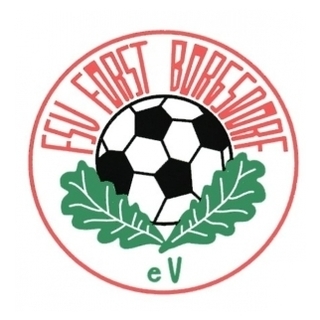 FSV Forst Borgsdorf e.V.