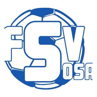 FSV Sosa e.V.