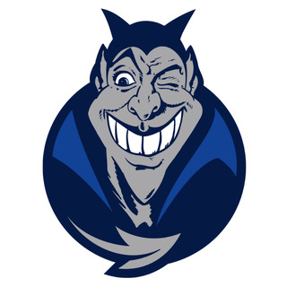 Hamburg Blue Devils e.V.