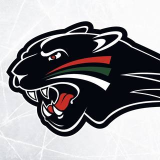 Augsburger Eislauf-Verein Panthers Augsburg e.V.