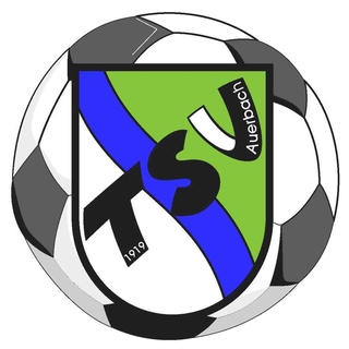 TSV Auerbach 1919 e.V. - Turnabteilung