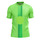 VfL Wolfsburg