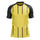 Borussia Dortmund