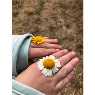 Förderverein Kindertagesstätte Buchenberg e.V.