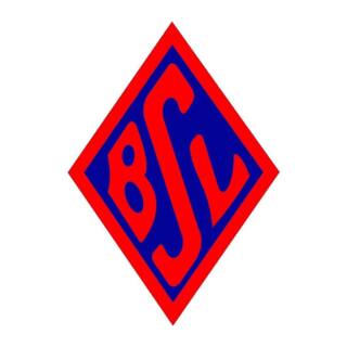 Blumenthaler Sportverein von 1919 e. V.