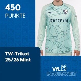Treueprämie: TW-Trikot 25/26 Mint
