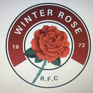 Winter Rose
