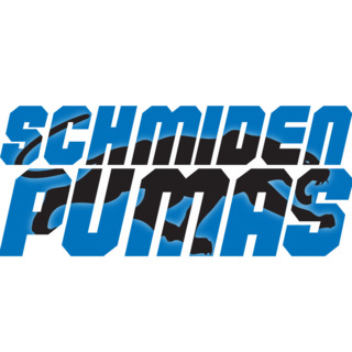 TSV Schmiden Handball