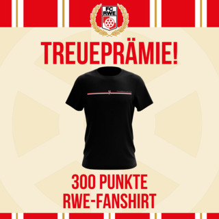 Treueprämie: FC Rot-Weiß Erfurt Fan-Shirt Stripes Logo (schwarz)
