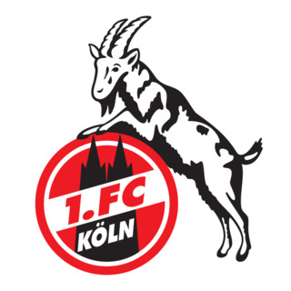 1. FC Köln GmbH & CO KGaA