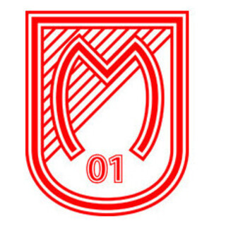 Mainzer Schwimmverein 01 e.V.