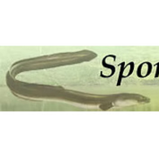 Sportfischerverein Praforst-Hünfeld 1965 e.V.